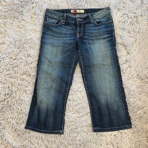 BKE Stella Jean Capris Size 28 Stretch Blue Spring Summer